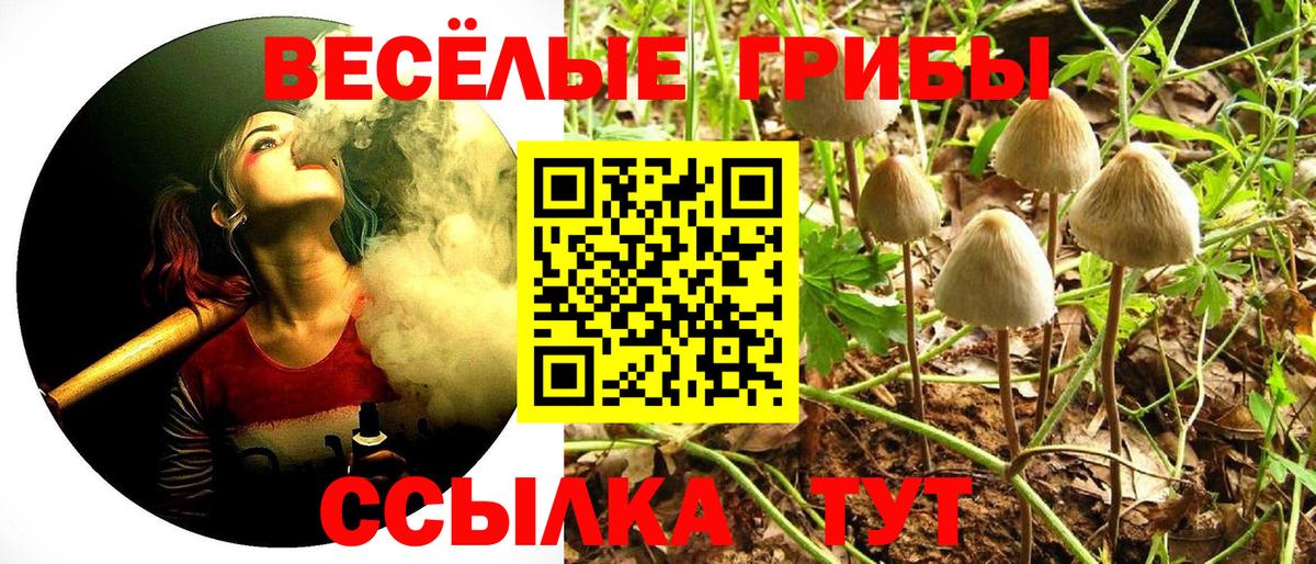 Галлюциногенные грибы Шали