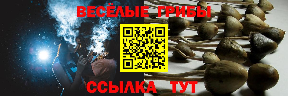 купить наркотик  Вход с VPN  Шали  Псилоцибиновые грибы Magic Shrooms 